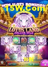 Experiência VIP 381WIN